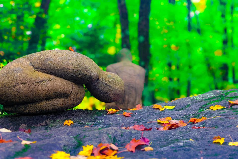 Haliburton Sculpture Forest: A Blend of Art and Nature