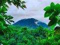 La Fortuna, Costa Rica: A Must-Visit Destination for Nature Lovers and Adventure Seekers