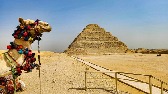 Saqqara Ancient Necropolis and the Pyramids