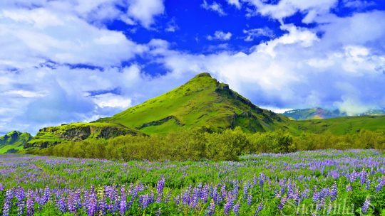 Whispers of Wonder: Iceland Travel through Enchanted Landscapes