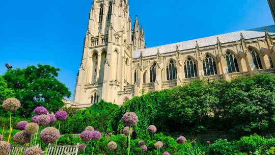 Why Visit Washington Cathedral: Travel Tips for Washington DC