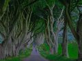 The Dark Hedges of Ireland: Game of Throne Shooting Spot Behind the scene