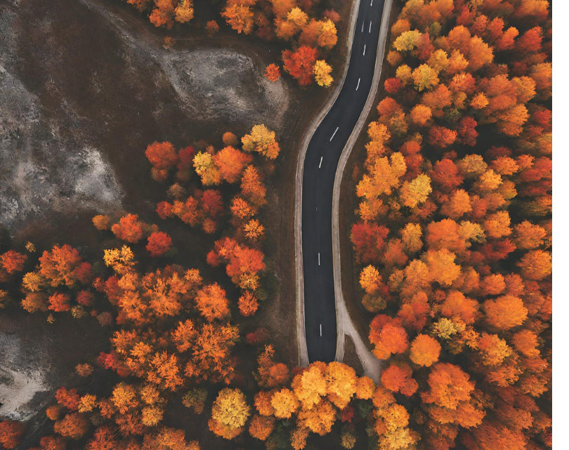 Scenic Fall Drives Near Toronto – Road Trip in Autum